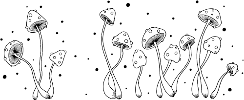 Illustration of strange white mushrooms by Mervi Emilia Eskelinen
