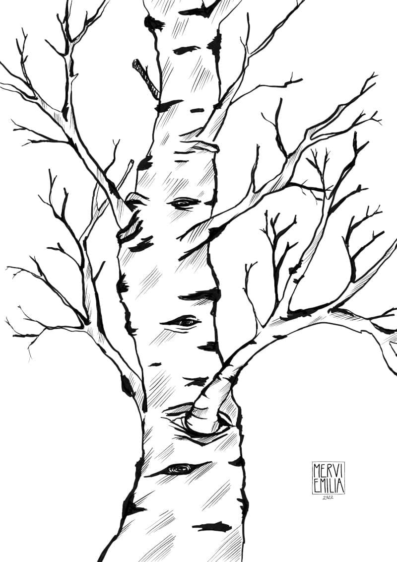 Birch, a black and white ink drawing of an old, life seen birch without leaves by Mervi Emilia Eskelinen